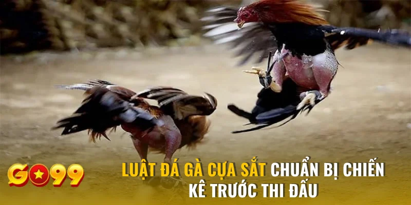 Chuẩn bị chiến kê trước thi đấu