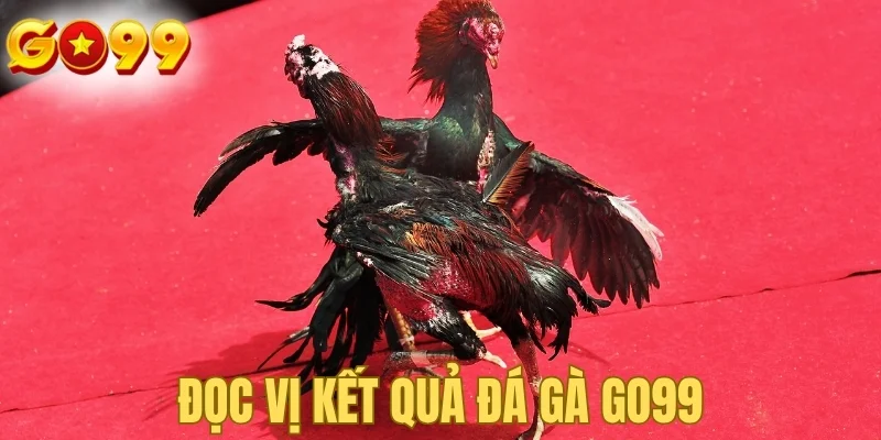 Đọc vị kết quả đá gà GO99