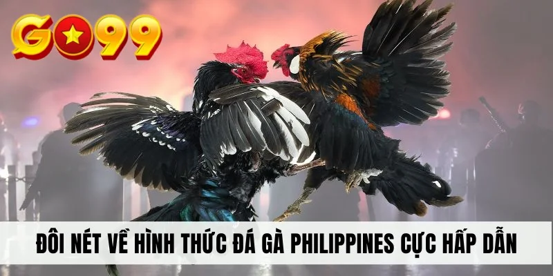 Đôi nét về hình thức đá gà Philippines cực hấp dẫn