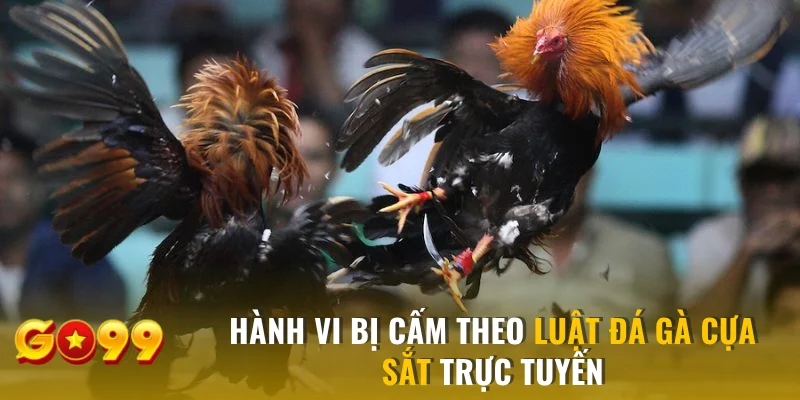 Hành vi bị cấm theo luật đá gà cựa sắt 