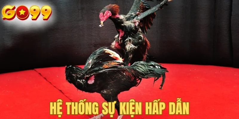 Hệ thống sự kiện hấp dẫn