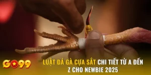 Luật Đá Gà Cựa Sắt Chi Tiết Từ A Đến Z Cho Newbie 2025