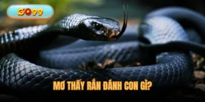 Mơ Thấy Rắn Đánh Con Gì - Giải Mã Giấc Mộng Cực Chuẩn