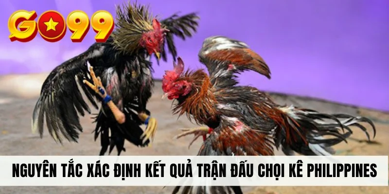 Nguyên tắc xác định kết quả trận đấu chọi kê Philippines
