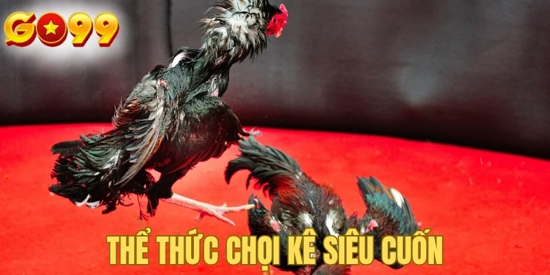 Thể thức chọi kê siêu cuốn